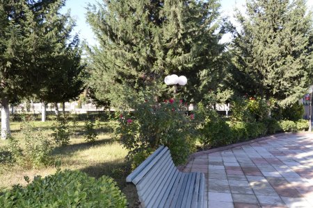 Füzulidə “Ümumrespublika Yaşıllaşdırma” marafonu çərçivəsində ağacəkmə kompaniyası davam edir- FOTOLAR