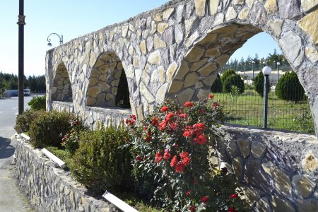 Füzulidə “Ümumrespublika Yaşıllaşdırma” marafonu çərçivəsində ağacəkmə kompaniyası davam edir- FOTOLAR