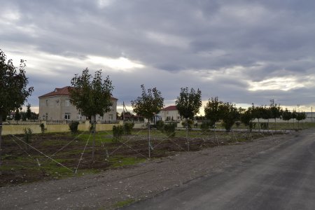 Gənc Horadiz şəhərində Gənclər prospektinin tikintisi davam edir- FOTOLAR