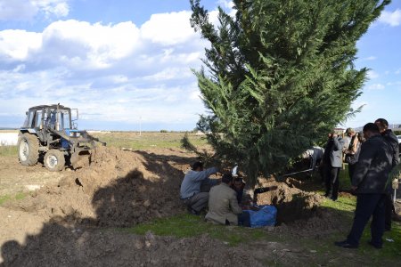 Gənc Horadiz şəhərində Gənclər prospektinin tikintisi davam edir- FOTOLAR
