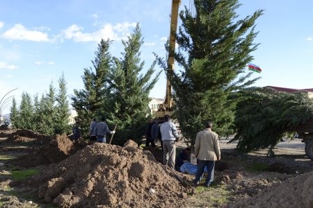 Gənc Horadiz şəhərində Gənclər prospektinin tikintisi davam edir- FOTOLAR
