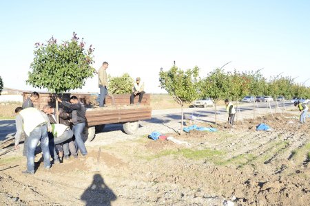 Gənc Horadiz şəhərində Gənclər prospektinin tikintisi davam edir- FOTOLAR
