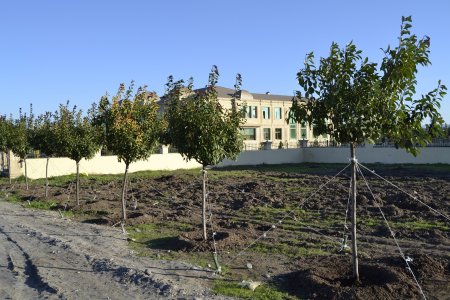 Gənc Horadiz şəhərində Gənclər prospektinin tikintisi davam edir- FOTOLAR