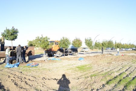 Gənc Horadiz şəhərində Gənclər prospektinin tikintisi davam edir- FOTOLAR