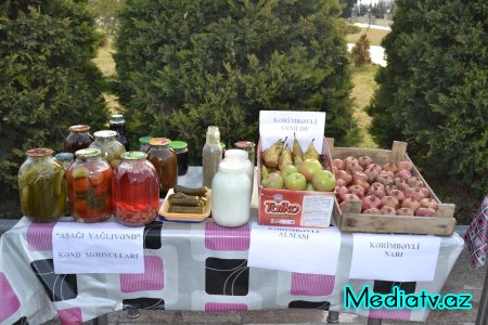Füzulidə 2015-ci ilin sosial-iqtisadi inkişafının yekunları və qarşıda vəzifələr müzakirə olunmuşdur - FOTOLAR