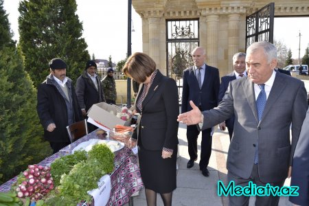 Füzulidə 2015-ci ilin sosial-iqtisadi inkişafının yekunları və qarşıda vəzifələr müzakirə olunmuşdur - FOTOLAR