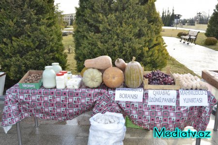 Füzulidə 2015-ci ilin sosial-iqtisadi inkişafının yekunları və qarşıda vəzifələr müzakirə olunmuşdur - FOTOLAR