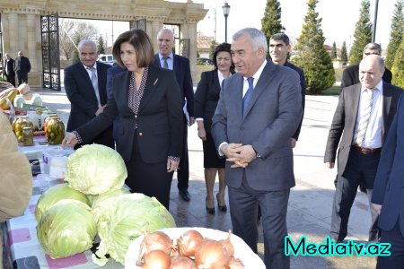 Füzulidə 2015-ci ilin sosial-iqtisadi inkişafının yekunları və qarşıda vəzifələr müzakirə olunmuşdur - FOTOLAR