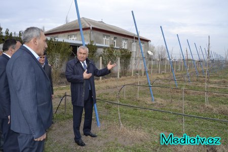 Alı Alıyev: "Füzuli rayonu kənd təsərrüfatı məhsulları ilə özünü yüz faiz təmin edəcək" - FOTOLAR