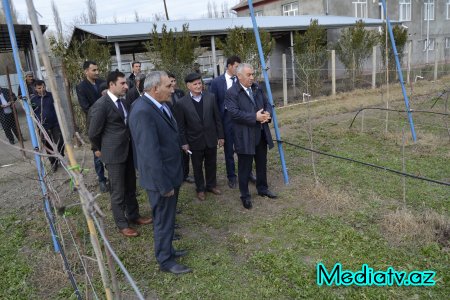 Alı Alıyev: "Füzuli rayonu kənd təsərrüfatı məhsulları ilə özünü yüz faiz təmin edəcək" - FOTOLAR