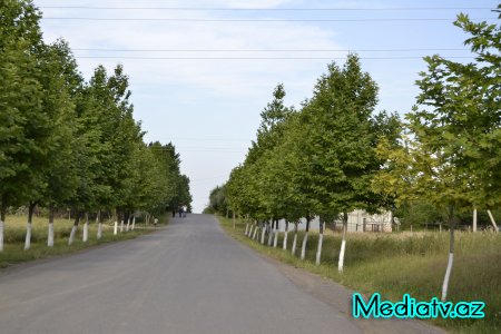 Prezidentin kənd təsərrüfatının inkişafı ilə bağlı tapşırıqları Füzulidə uğurla icra olunur - FOTOLAR