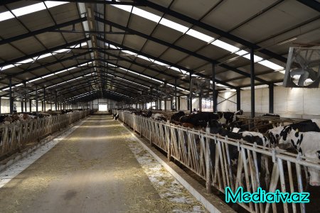 Prezidentin kənd təsərrüfatının inkişafı ilə bağlı tapşırıqları Füzulidə uğurla icra olunur - FOTOLAR