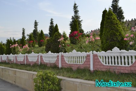Prezidentin kənd təsərrüfatının inkişafı ilə bağlı tapşırıqları Füzulidə uğurla icra olunur - FOTOLAR