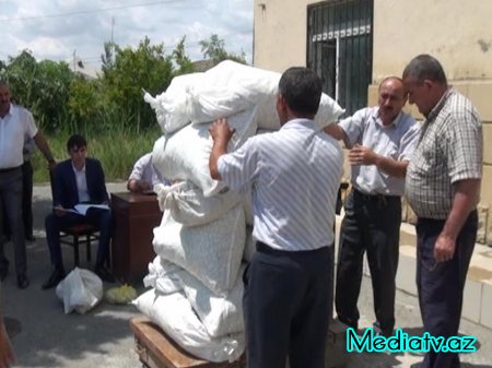 Kürdəmir rayonunda barama tədarükünə başlanılıb - FOTOLAR