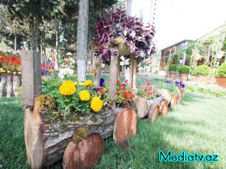 Nəsimi rayonunda Azərbaycanın Milli Qəhrəmanı Asif Məhərrəmovun adını daşıyan  küçədə yerləşən park əsaslı təmirdən sonra istifadəyə verilmişdir - FOTOLAR