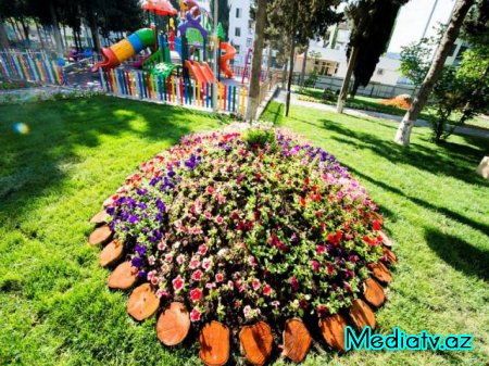 Nəsimi rayonunda Azərbaycanın Milli Qəhrəmanı Asif Məhərrəmovun adını daşıyan  küçədə yerləşən park əsaslı təmirdən sonra istifadəyə verilmişdir - FOTOLAR