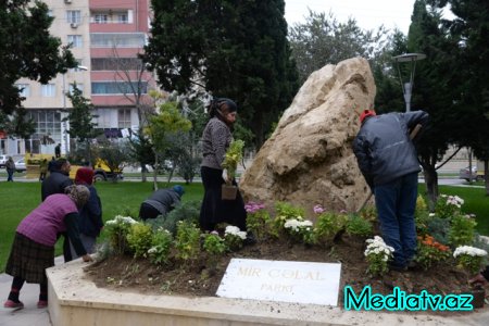 Nəsimi rayonunda Yaşıl Marafon layihəsi çərçivəsində ağacəkmə aksiyası keçirilmişdir - FOTOLAR