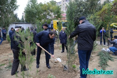 Nəsimi rayonunda Yaşıl Marafon layihəsi çərçivəsində ağacəkmə aksiyası keçirilmişdir - FOTOLAR