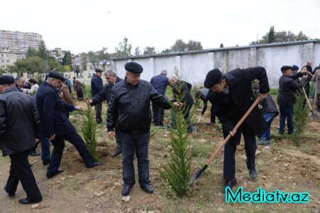 Nəsimi rayonunda Yaşıl Marafon layihəsi çərçivəsində ağacəkmə aksiyası keçirilmişdir - FOTOLAR
