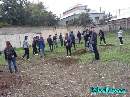 AQRAR UNİVERSİTETİNİN AQRANOMLUQ FAKÜLTƏSİNİN TƏLƏBƏLƏRİ  DENDROLOJİ BAĞ SALIR - FOTOLAR
