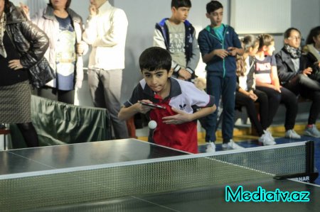 Stolüstü tennis idman növü üzrə Nərimanov rayon turniri keçirildi - FOTOLAR