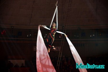 Nəsimi rayonunda Bakı Dövlət Sirkində uşaqlar üçün bayram tədbiri təşkil edildi - FOTOLAR