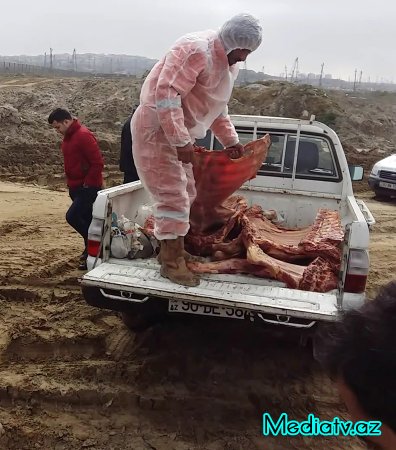 Mənşəyi məlum olmayan qida üçün yararsız heyvan cəmdəkləri zərərsizləşdirilmişdir - FOTOLAR