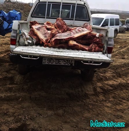 Mənşəyi məlum olmayan qida üçün yararsız heyvan cəmdəkləri zərərsizləşdirilmişdir - FOTOLAR