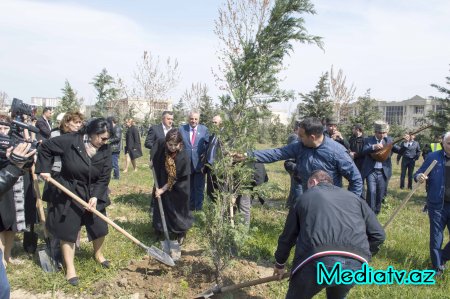 Nərimanov rayonunda yerləşən yaşıllıq zolağında iməcilik keçirilib - FOTOLAR