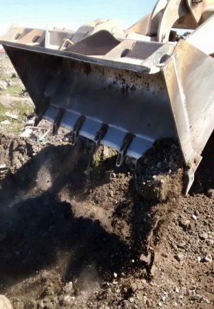 Şəki rayonunun Qoxmuq kəndində aşkarlanan yararsız heyvan cəmdəyi zərərsizləşdirilmişdir