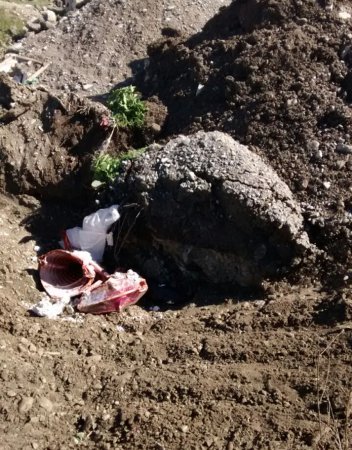 Şəki rayonunun Qoxmuq kəndində aşkarlanan yararsız heyvan cəmdəyi zərərsizləşdirilmişdir