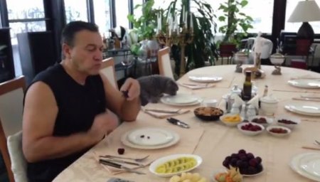 Araz Ağalarov pişiyi ilə səhər yeməyi yedi