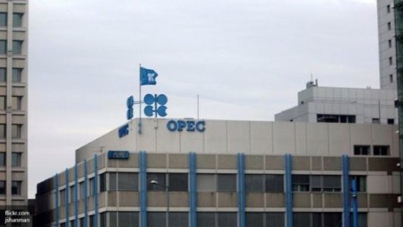 OPEC səhvini etiraf edib