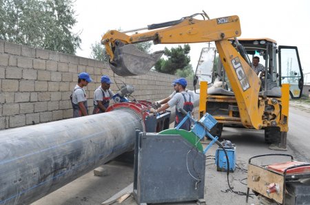 Füzulidə baramaçılığın inkişafına inkişafına ciddi diqqət yetirilir