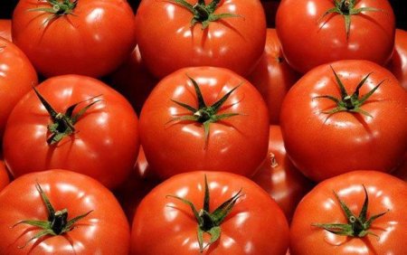 Rusiyanın qadağaları Türkiyə pomidorlarına yeni bazar açdı