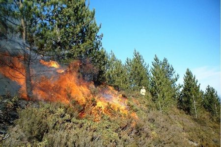 Ermənilərin cəbhədə törətdiyi yanğın yaşayış məntəqələrinə çatıb – FOTO