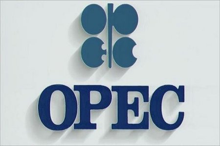 OPEC hasilatı azaltmaq istəyir