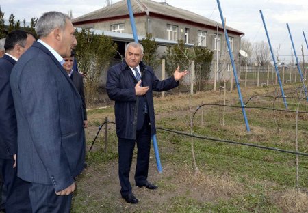 Ermənilərin öldürdüyü 2 yaşlı Zəhra və nənəsinin yas xərclərini dövlət ödəyəcək