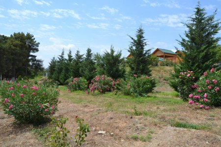 Füzulidə yaşıllıq zolaqlarının salınması, ekoloji tarazlığın qorunması