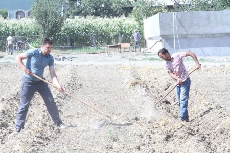  ADAU-da quruculuq və abadlıq işləri daha da sürətlənib