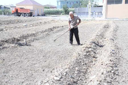  ADAU-da quruculuq və abadlıq işləri daha da sürətlənib