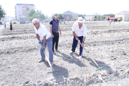  ADAU-da quruculuq və abadlıq işləri daha da sürətlənib