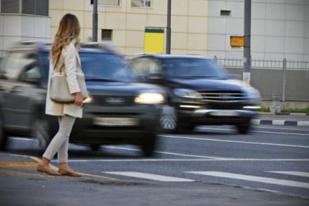 Yasamalda səki qanunsuz olaraq zəbt edilib