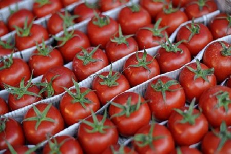 Rusiyalı nazir: Türkiyədən pomidor almayacağıq