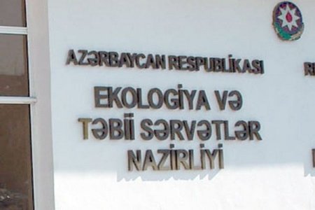 Nazirlik icra nümayəndəsini cərimələdi