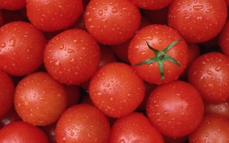 Azərbaycanlı fermerlərə bəd xəbər - Rusiya Türkiyədən pomidor alacaq