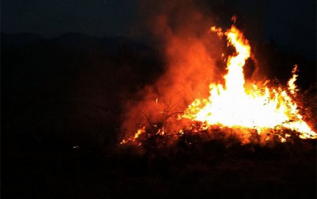 İcra başçısı Kəmaləddin Heydərovdan kömək istədi
